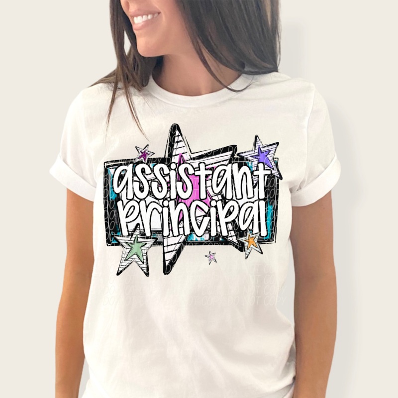 ASSISTANT PRINCIPAL CS BRIGHT STARS