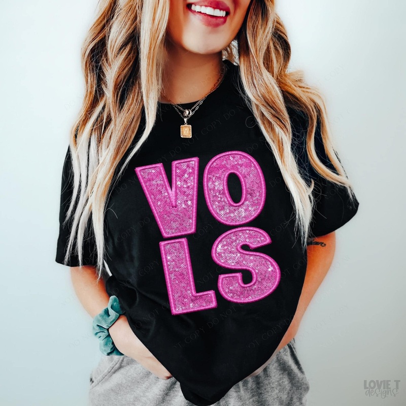Vols Embroidery & Sequin In Pink