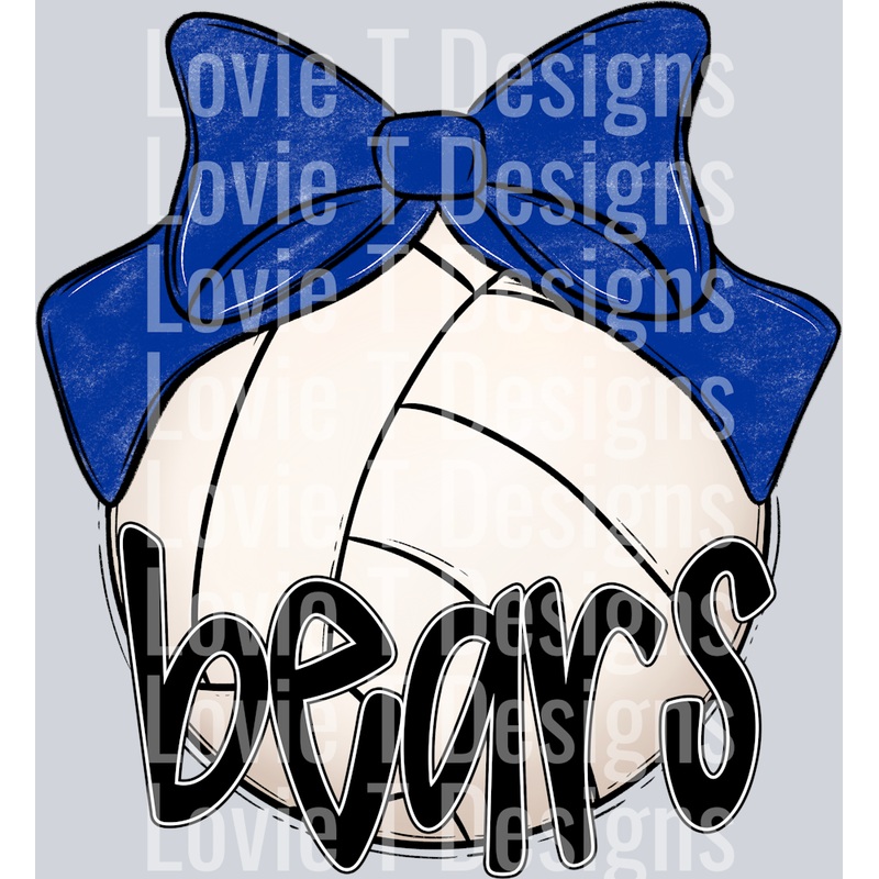 SPORT BOW BALLS VOLLEYBALL ROYAL BEARS