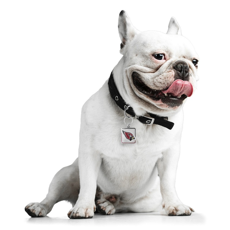 Little Earth Arizona Cardinals Pet Collar Charm