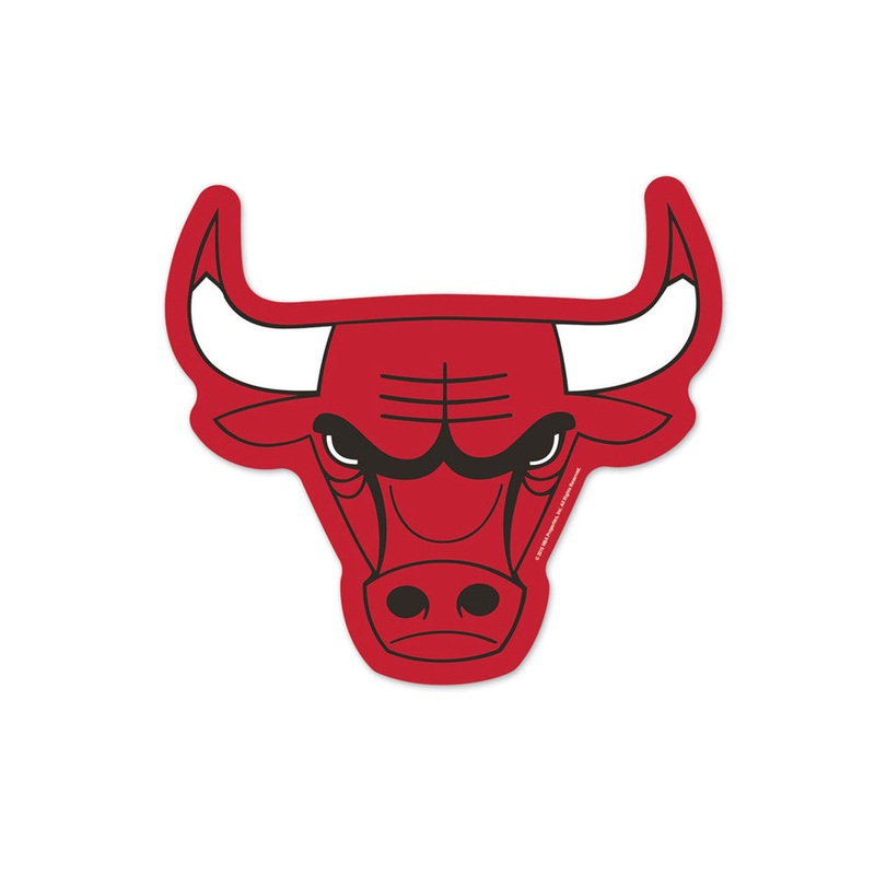 Wincraft Chicago Bulls Logo on the GoGo