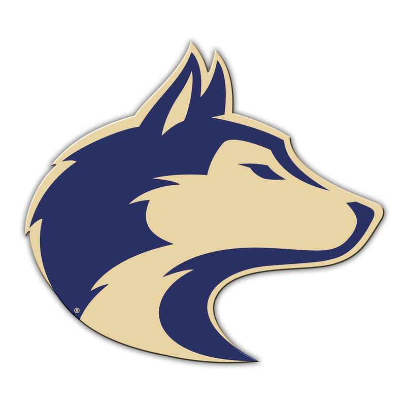 Fremont Die Washington Huskies 12 Inch Alternate Design Car Style Magnet